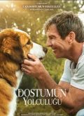 Dostumun Yolculuğu 2019 hayvan filmi Türkçe dublaj izle